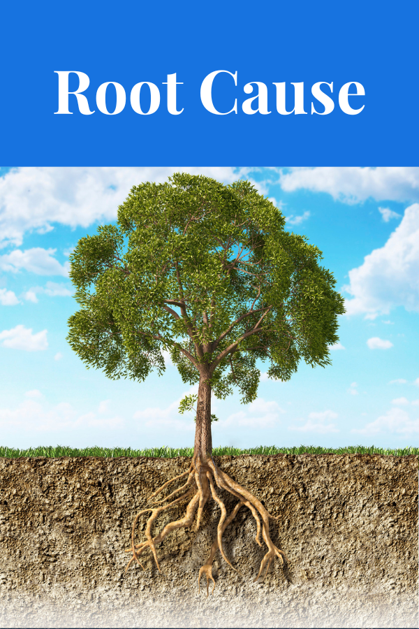 Image of a tree with roots below the ground visible. Root Cause Analysis